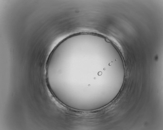X0000091081287200708061037
