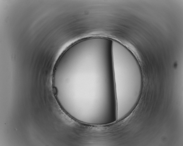 X0000091081288200708061037