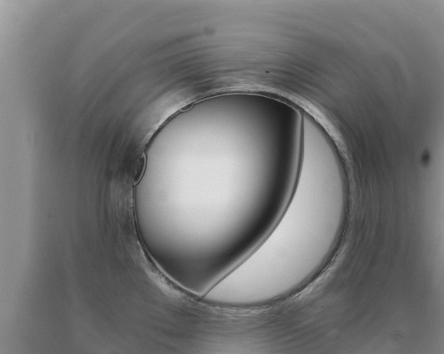 X0000091081289200708061037