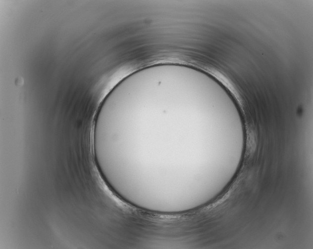 X0000091081290200708061037