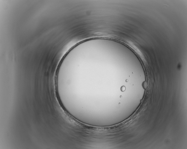 X0000091081291200708061037