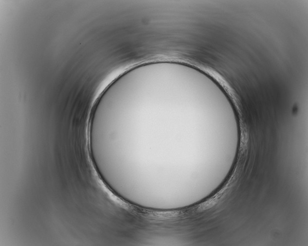 X0000091081294200708061037