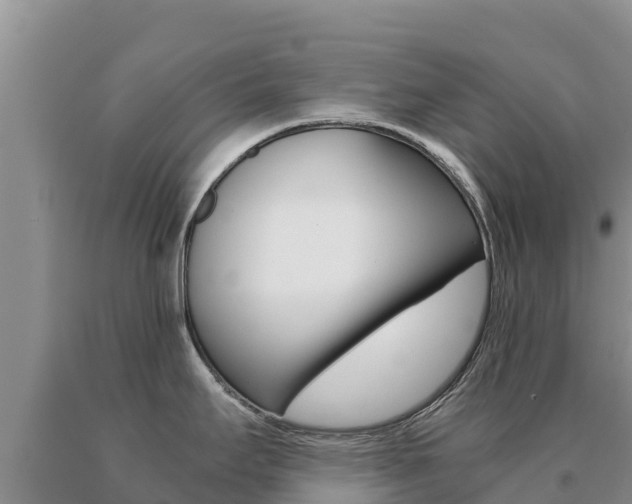X0000091081295200708061037