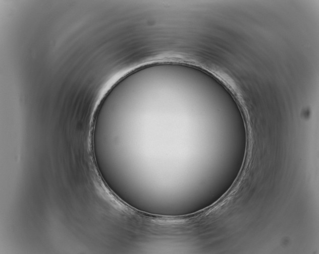 X0000091081296200708061037
