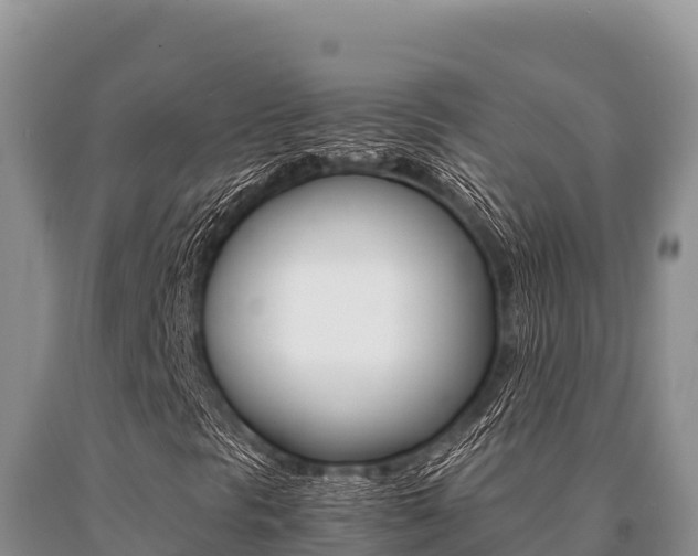 X0000091081297200708061036