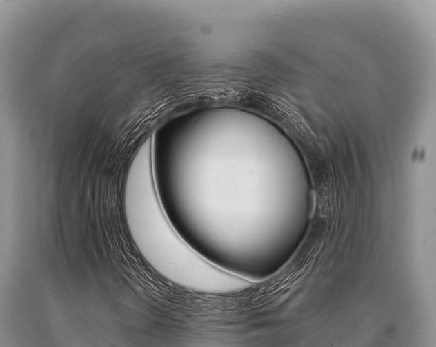 X0000091081298200708061036