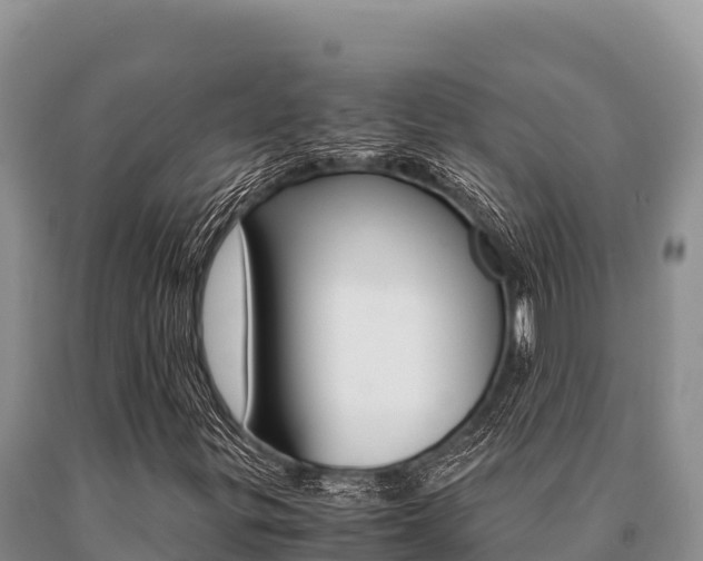 X0000091081299200708061036