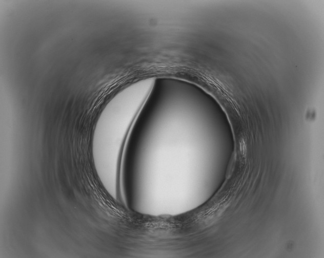 X0000091081300200708061036