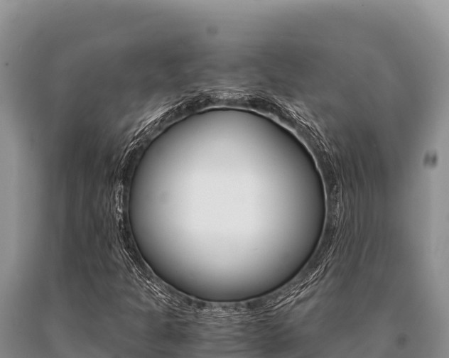 X0000091081301200708061036