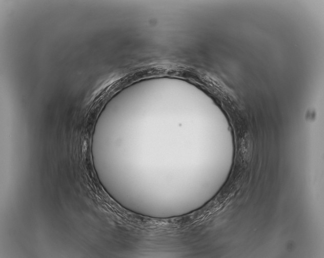 X0000091081302200708061036