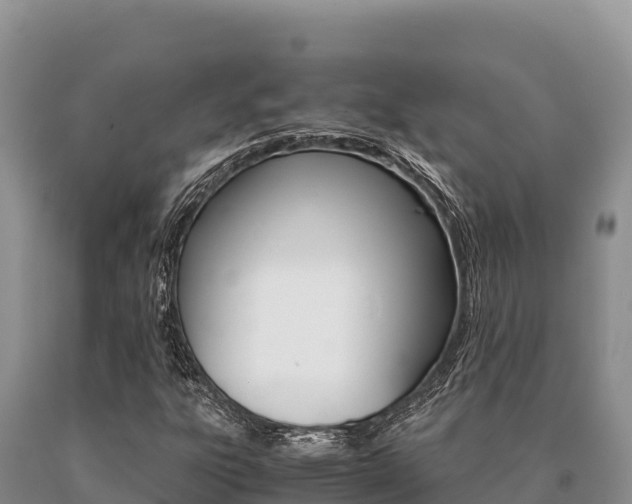 X0000091081303200708061036