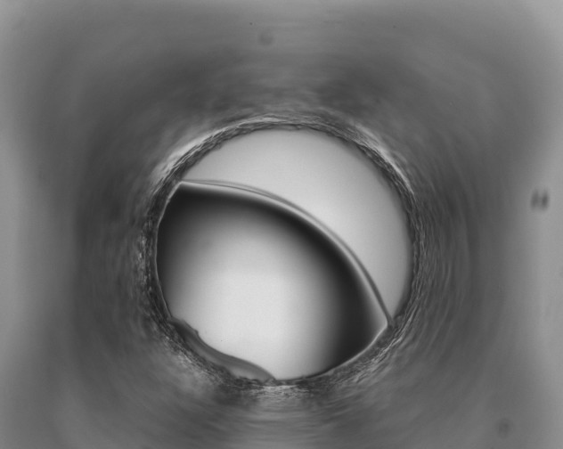 X0000091081304200708061036