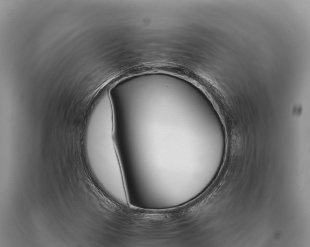 X0000091081305200708061036