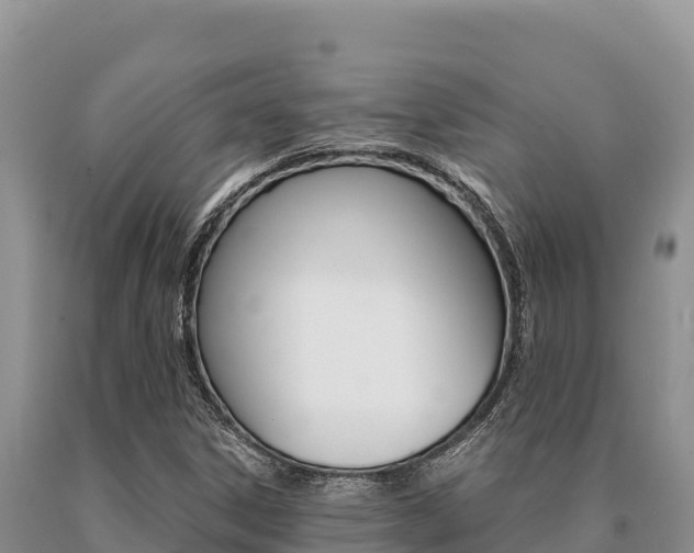 X0000091081306200708061036