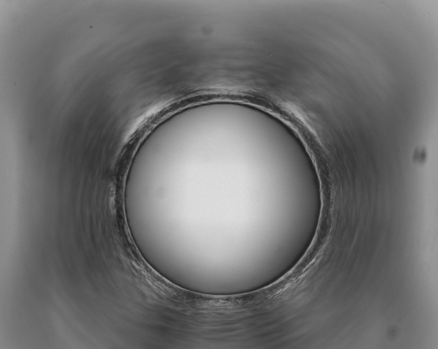 X0000091081307200708061036