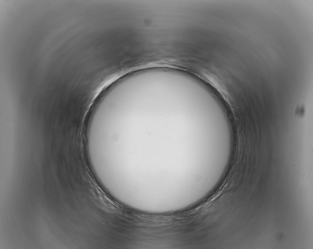 X0000091081308200708061036