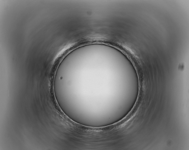 X0000091081309200708061036