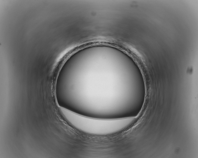 X0000091081310200708061036