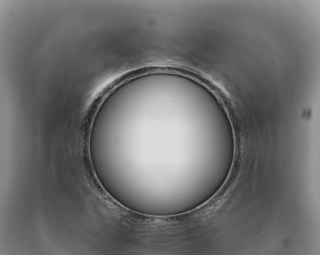 X0000091081311200708061036
