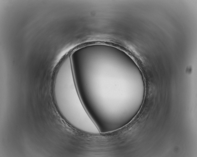 X0000091081312200708061036