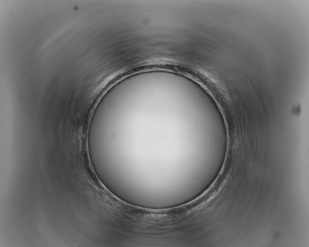 X0000091081313200708061036