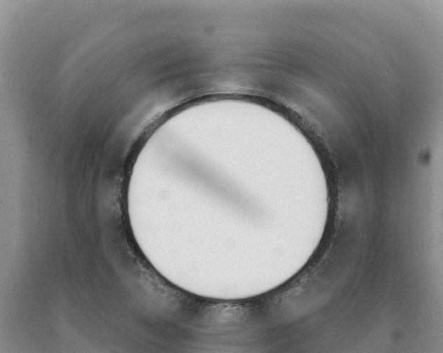 X0000091081314200708061036