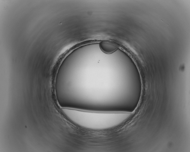 X0000091081315200708061036