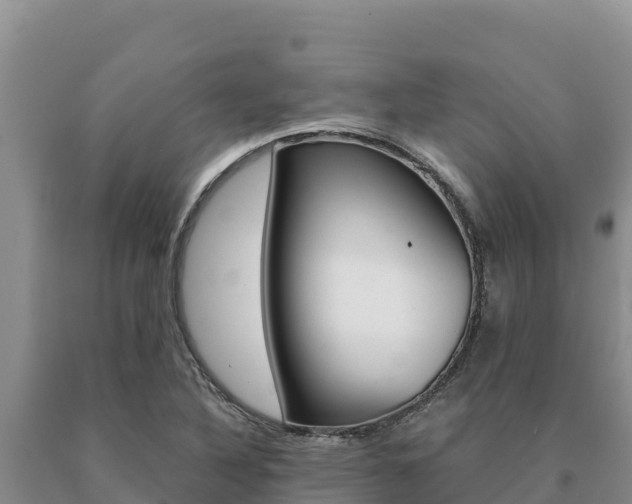 X0000091081316200708061036