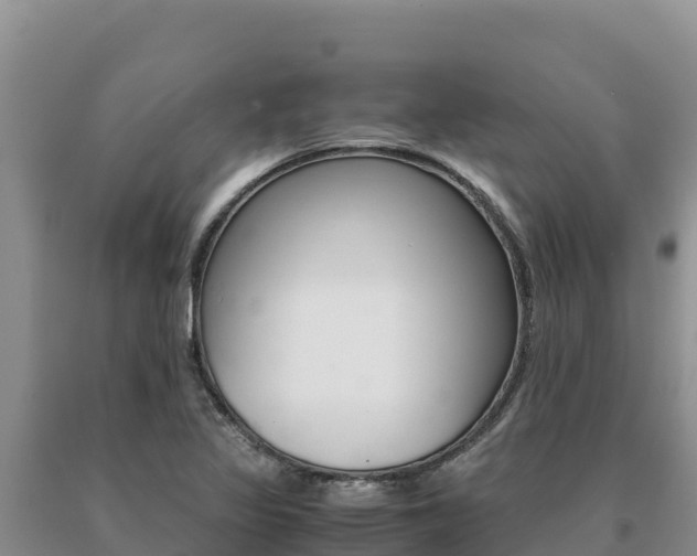 X0000091081317200708061036