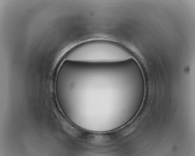 X0000091081318200708061036