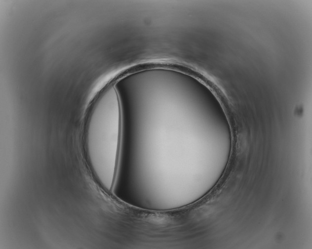 X0000091081319200708061036