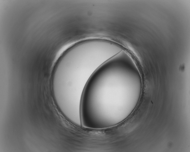 X0000091081320200708061037