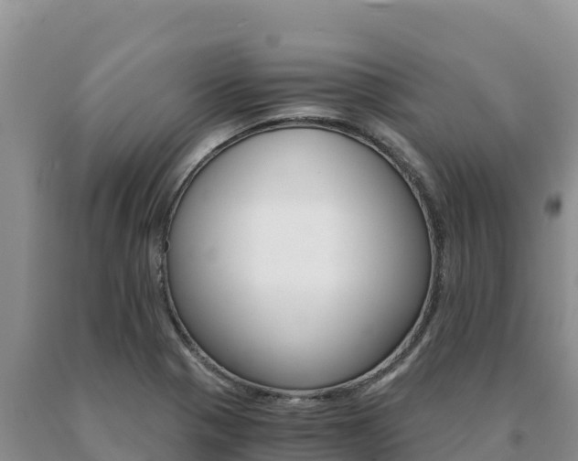 X0000091081321200708061037