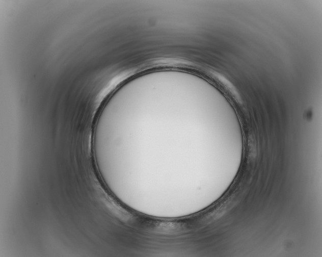 X0000091081322200708061037