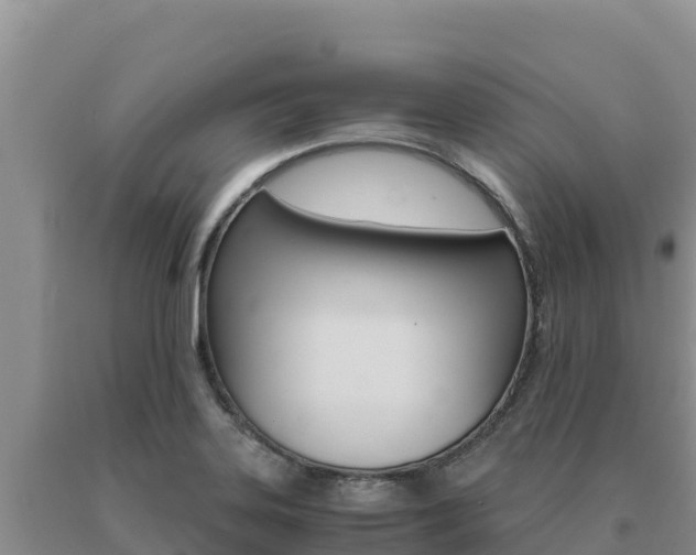X0000091081323200708061037