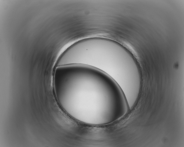 X0000091081324200708061037