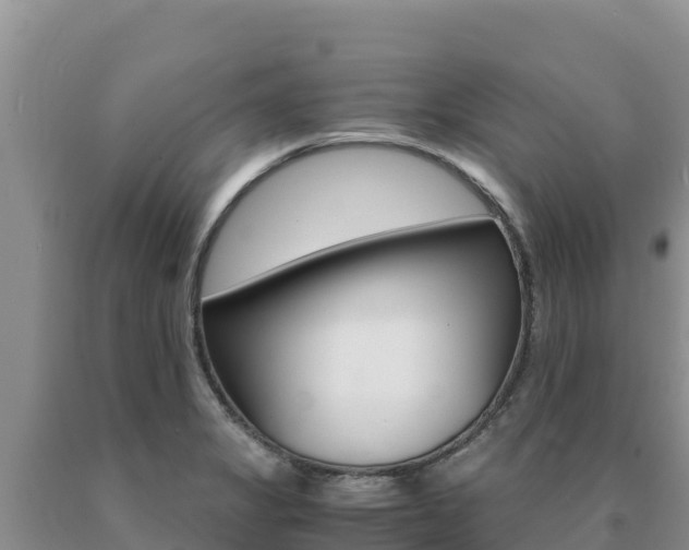 X0000091081325200708061037