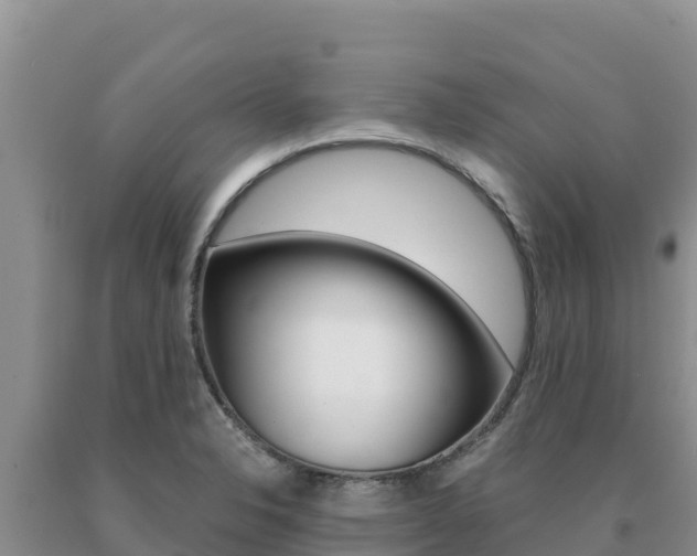X0000091081326200708061037