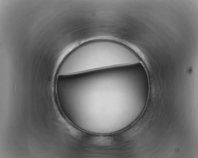 X0000091081327200708061037