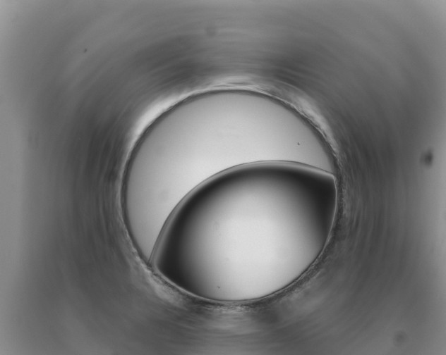 X0000091081328200708061037