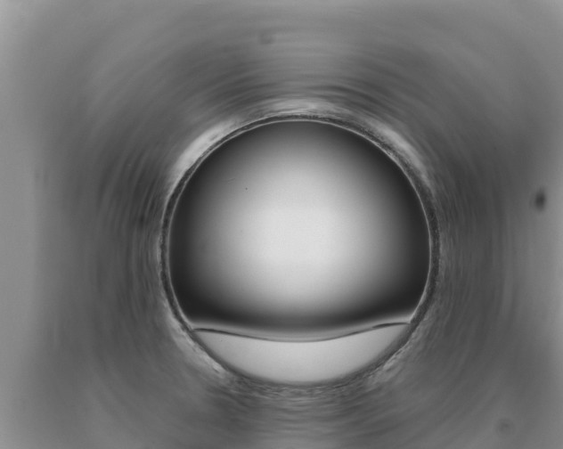 X0000091081330200708061037