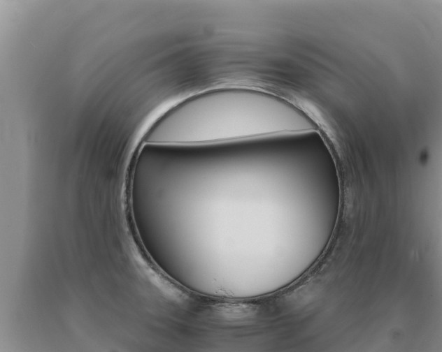 X0000091081331200708061037