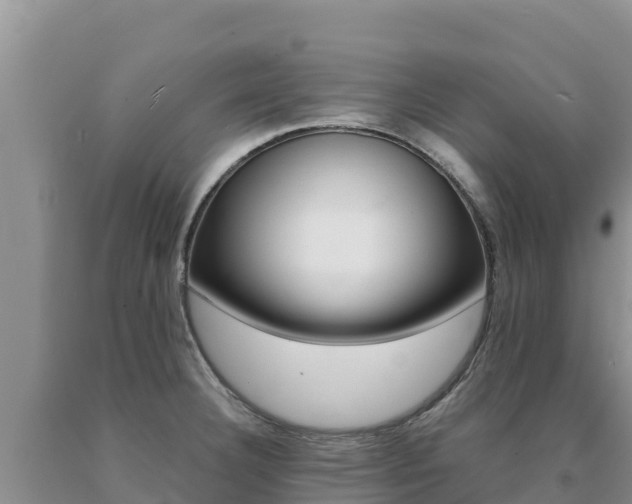 X0000091081332200708061037