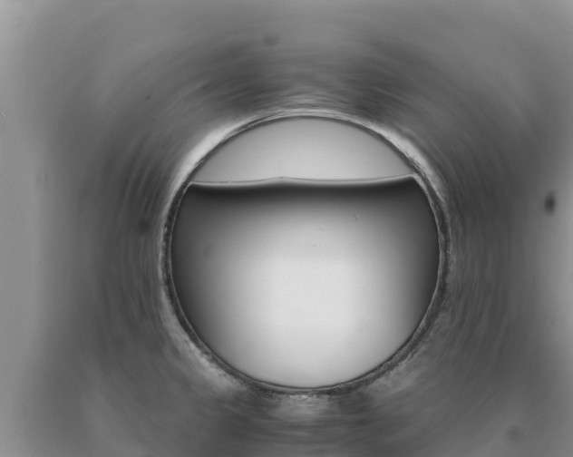 X0000091081333200708061037
