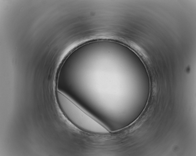 X0000091081334200708061037