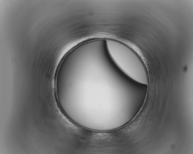X0000091081335200708061037