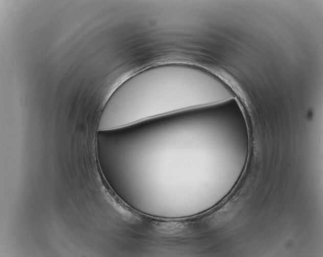 X0000091081337200708061037