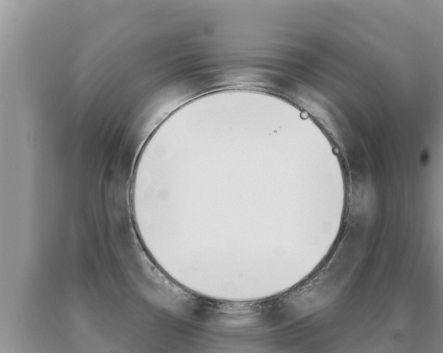 X0000091081338200708061037