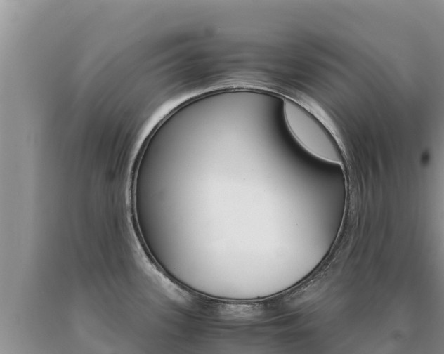 X0000091081339200708061037