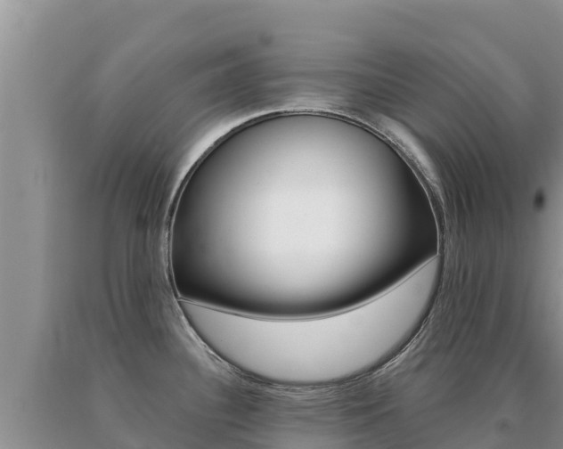 X0000091081340200708061037